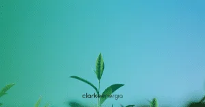 Uma mudinha plantada a logo da Clarke na frente