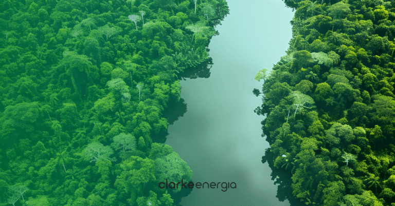 Brasil inabitável em 50 anos? Entenda perspectivas diante do aquecimento global
