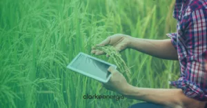 pessoa com tablet em fazenda